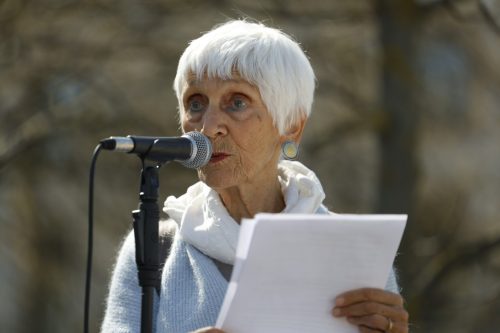Psychodynamik Hessen: Mitglied Christa Leiendecker bei der Demonstration der Verbände am 15.04.2026 gegen Kürzungen in der ambulanten Psychotherapie